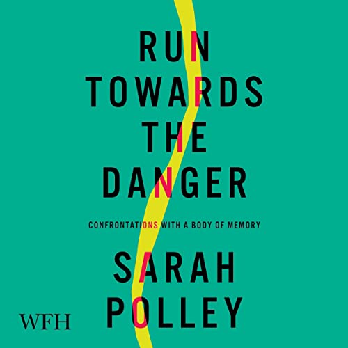 Cover of Run Towards The Danger
