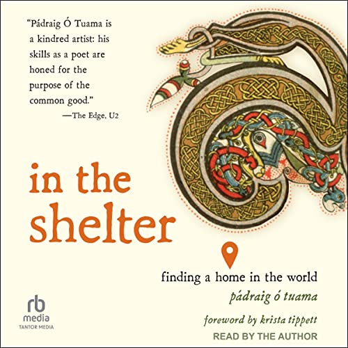 Cover of In the Shelter