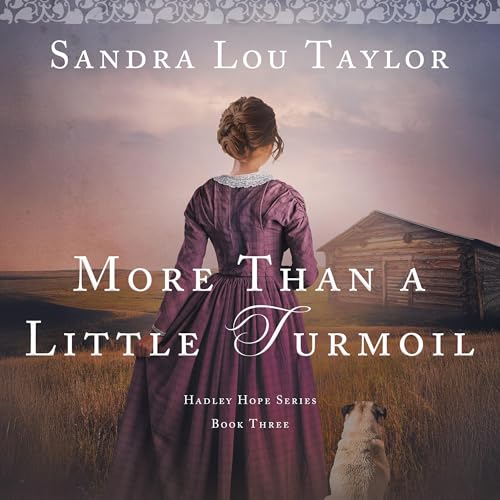 Cover of More Than a Little Turmoil