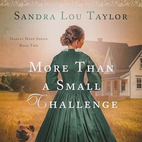 Cover of More Than a Small Challenge