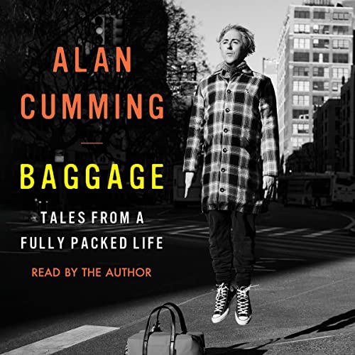 Cover of Baggage