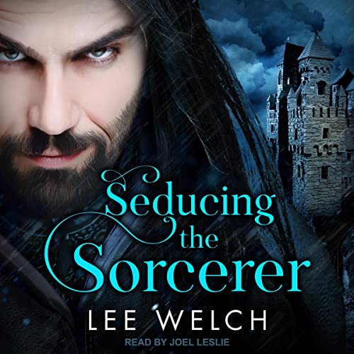 Cover of Seducing the Sorcerer