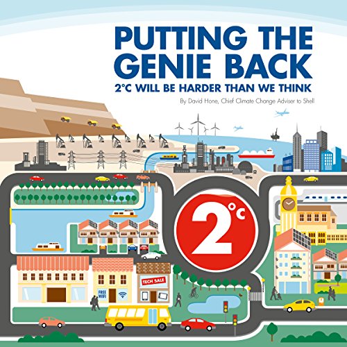 Cover of Putting the Genie Back