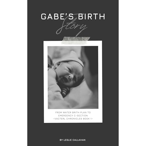 Cover of Gabe's Birth Story