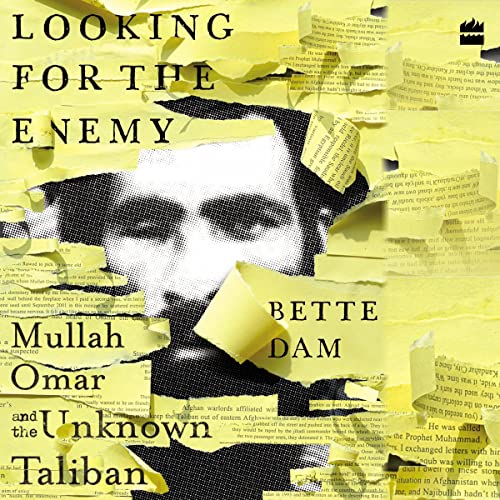 Cover of Looking for the Enemy