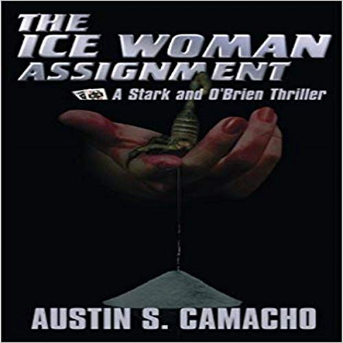 Cover of The Ice Woman Assignment