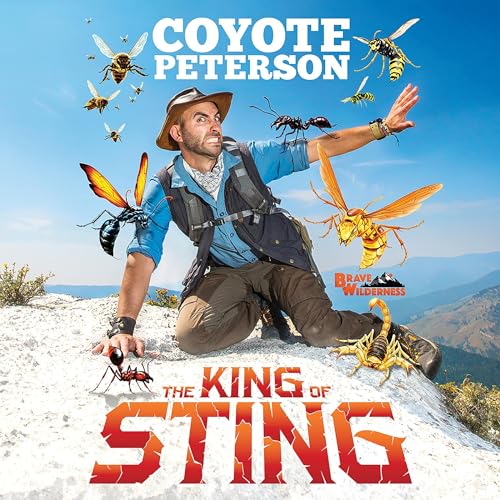 Cover of The King of Sting
