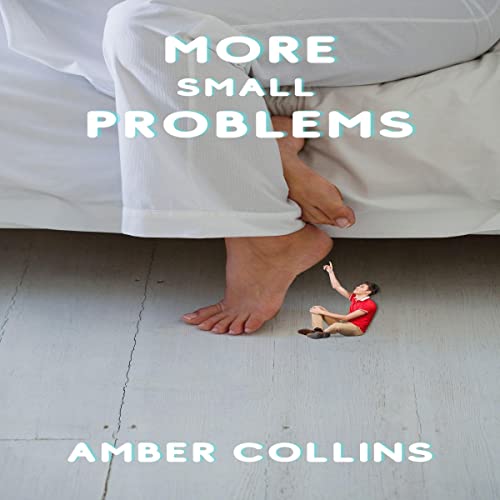 Cover of More Small Problems