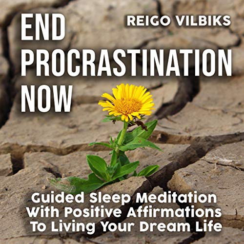Cover of End Procrastination Now