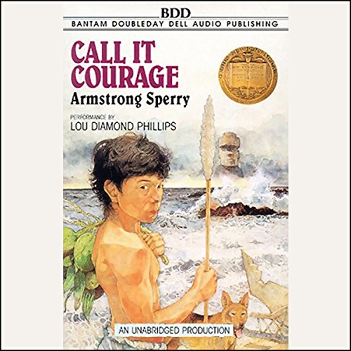 Cover of Call it Courage