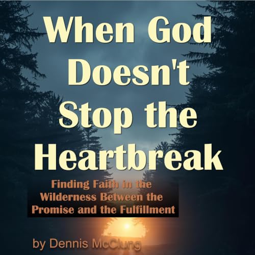 Cover of When God Doesn't Stop the Heartbreak