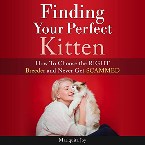 Cover of Finding Your Perfect Kitten