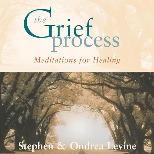 Cover of The Grief Process