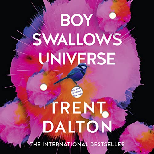 Cover of Boy Swallows Universe