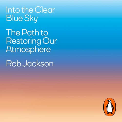 Cover of Into the Clear Blue Sky