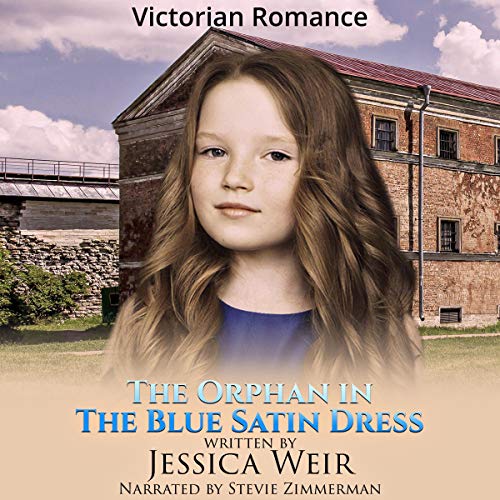 Cover of The Orphan in the Blue Satin Dress