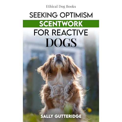 Cover of Seeking Optimism
