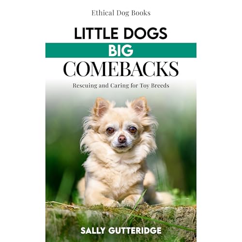 Cover of Little Dogs Big Comebacks