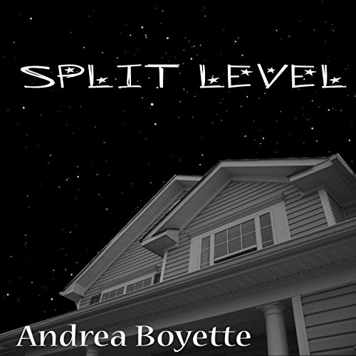 Cover of Split Level