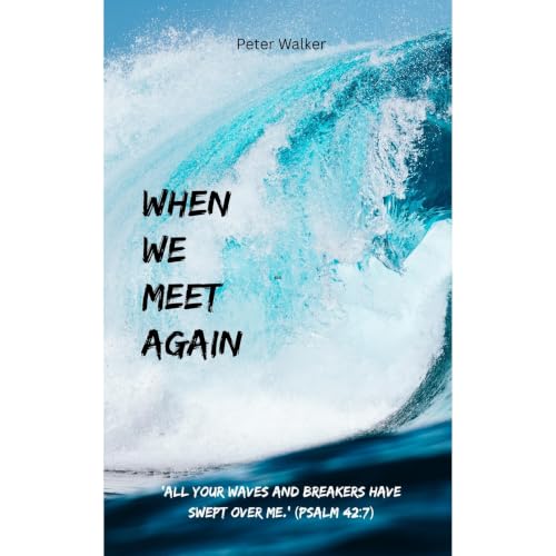 Cover of When We Meet Again