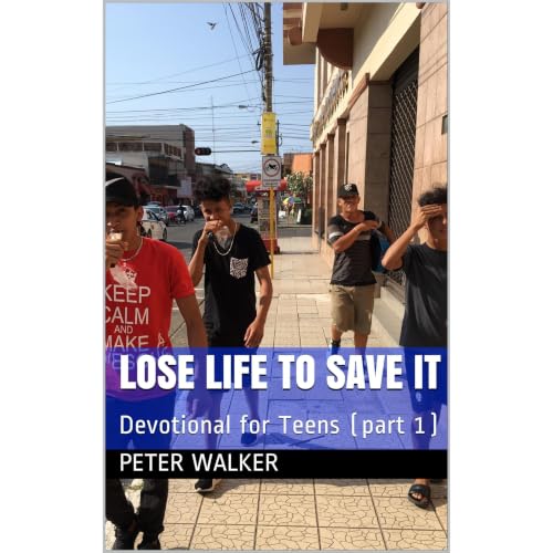 Cover of Lose Life To Save It