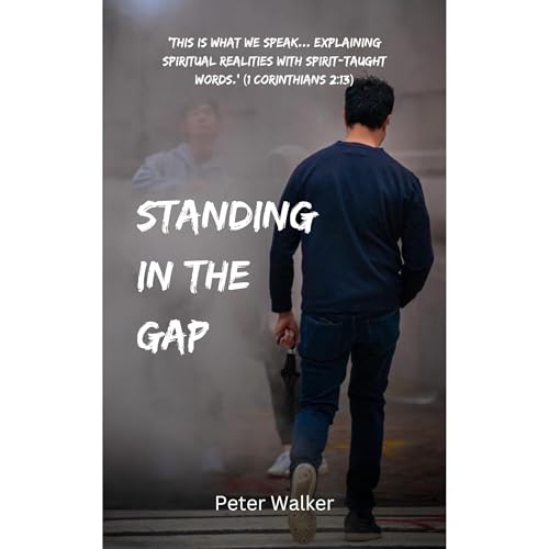 Cover of Standing in the Gap