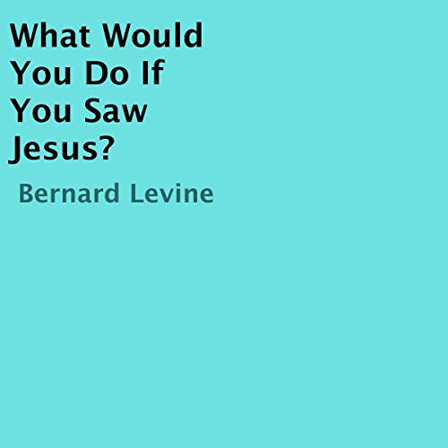 Cover of What Would You Do If You Saw Jesus?