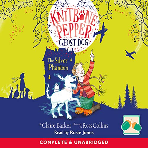 Cover of Knitbone Pepper Ghost Dog and the Silver Phantom