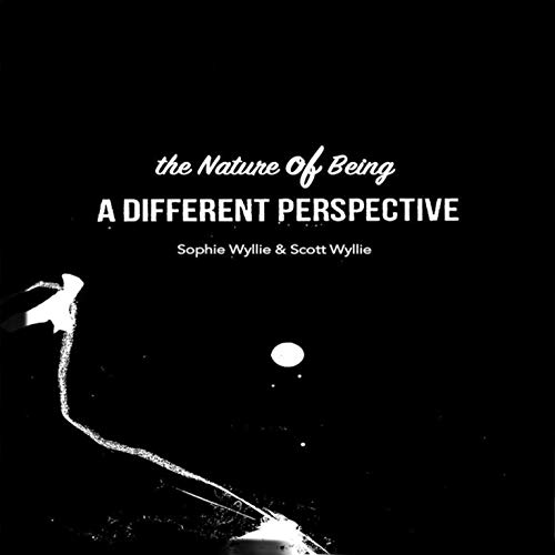 Cover of A Different Perspective