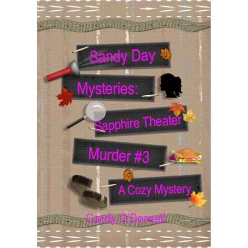 Cover of Sandy Day Mystery