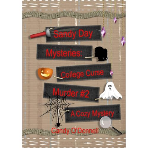 Cover of Sandy Day Mystery