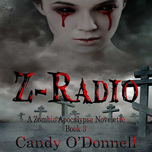 Cover of Z-Radio 3