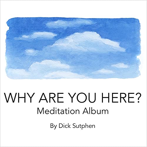 Cover of Why Are You Here? Meditation Album