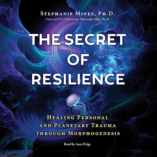 Cover of The Secret of Resilience