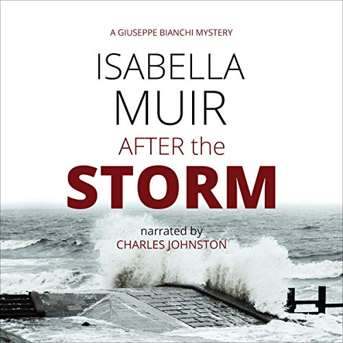 Cover of After the Storm