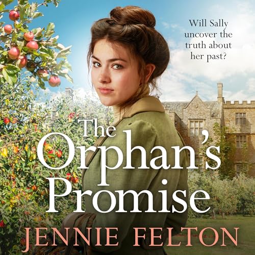 Cover of The Orphan's Promise