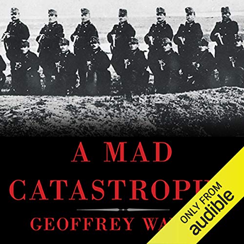Cover of A Mad Catastrophe