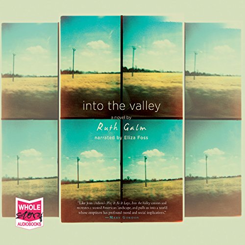 Cover of Into the Valley