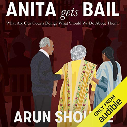 Cover of Anita Gets Bail