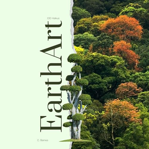 Cover of EarthArt