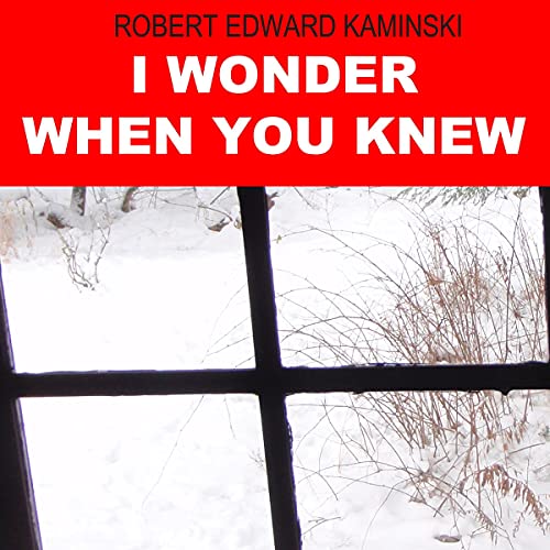 Cover of I Wonder When You Knew
