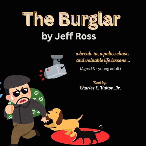 Cover of The Burglar