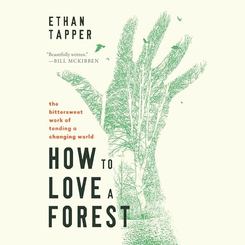 Cover of How to Love a Forest