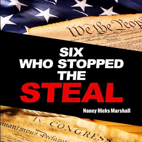 Cover of Six Who Stopped the Steal