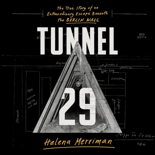 Cover of Tunnel 29