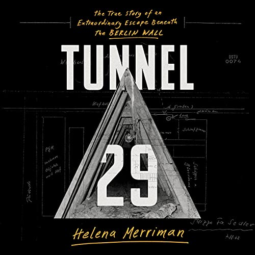 Cover of Tunnel 29