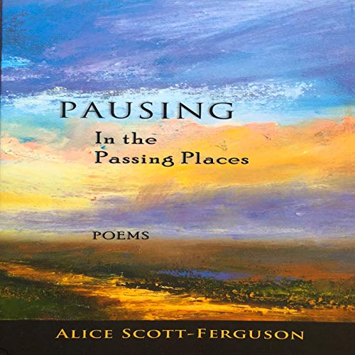 Cover of Pausing in the Passing Places