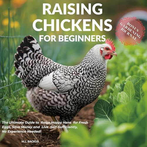 Cover of Raising Chickens for Beginners