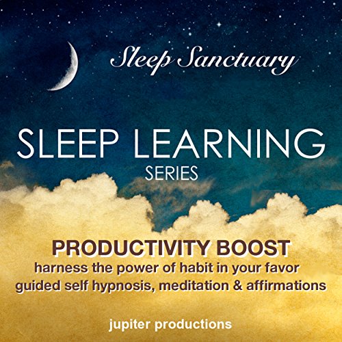 Cover of Productivity Boost, Harness the Power of Habit in Your Favor