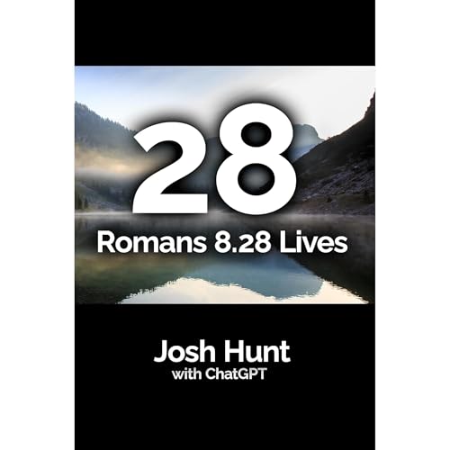 Cover of 28 Romans 8.28 Lives